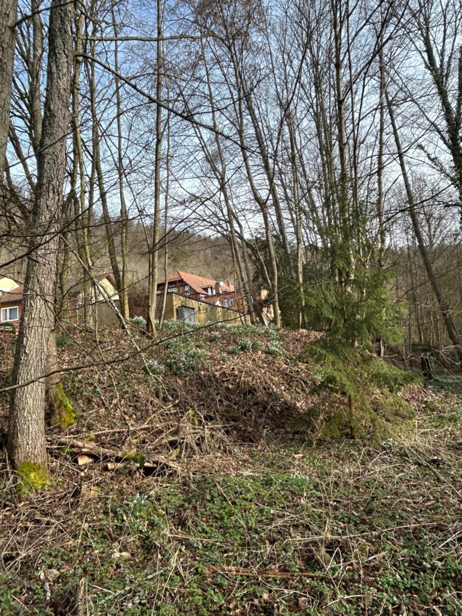 Villa Am Fluss Pforzheim Exterior foto