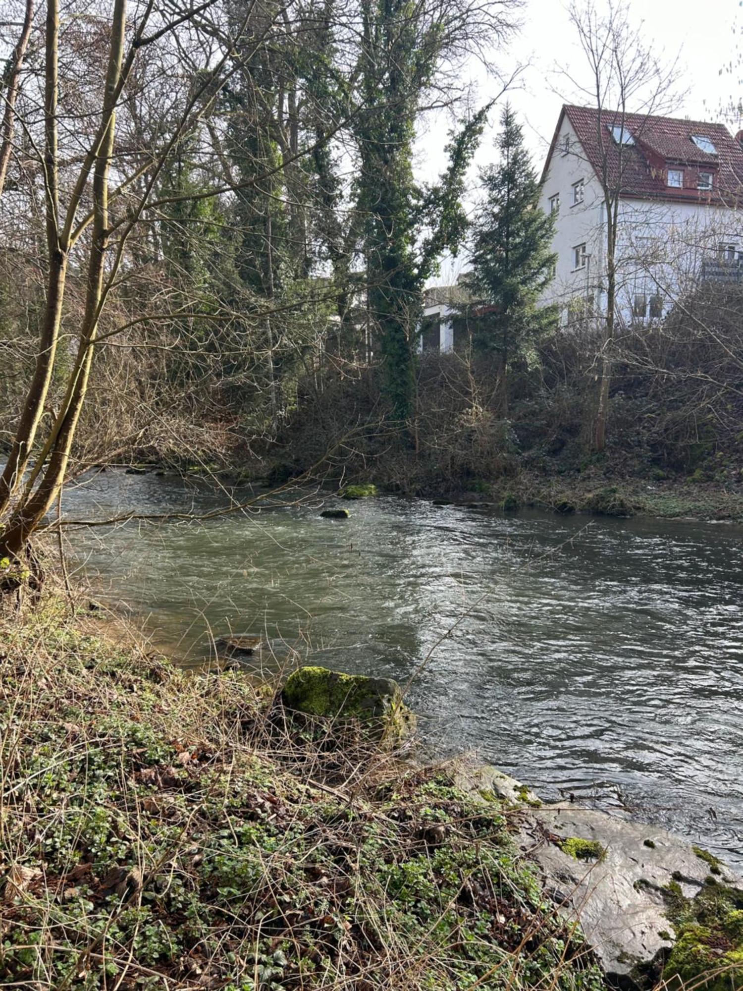 Villa Am Fluss Pforzheim Exterior foto
