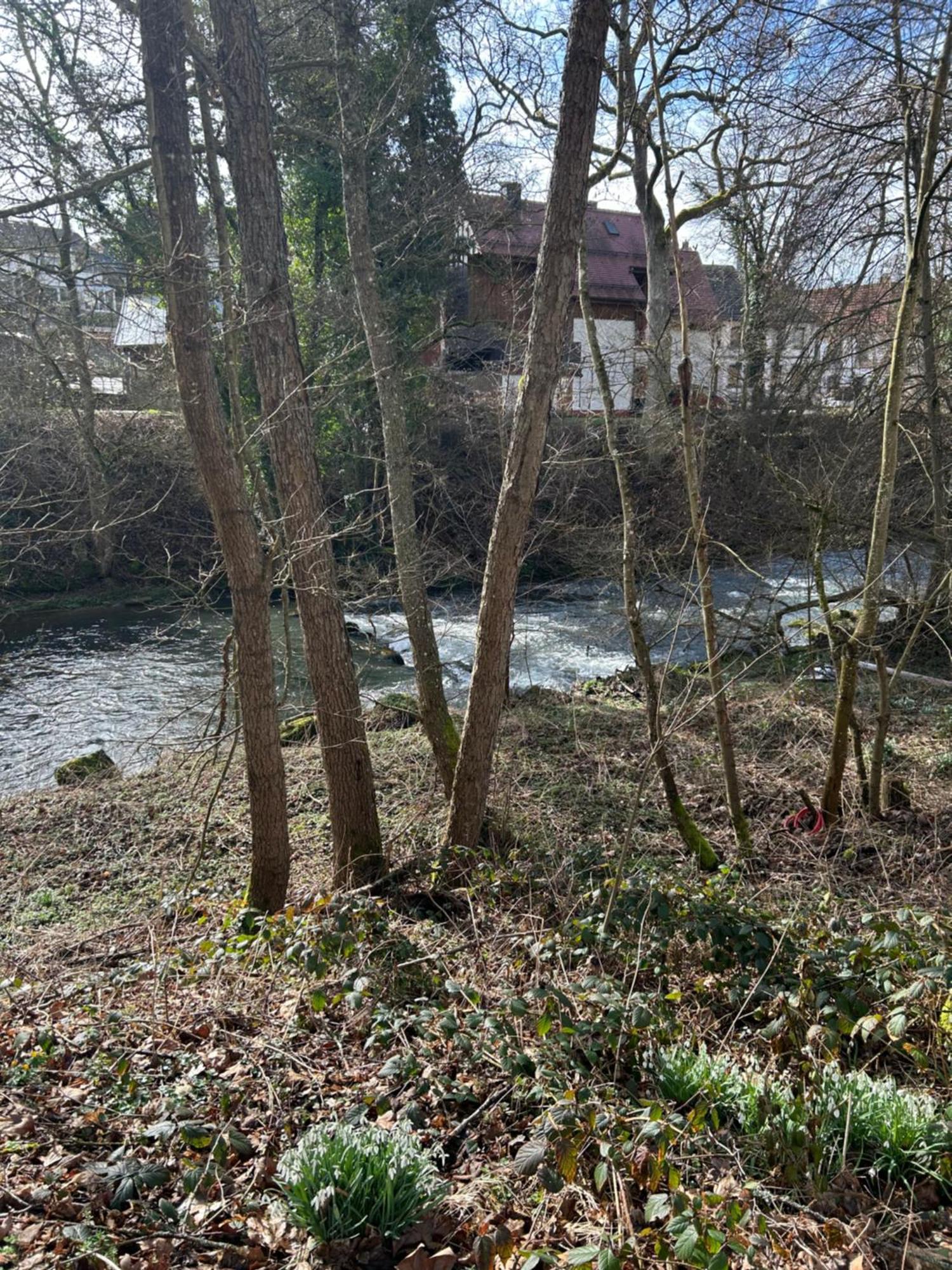 Villa Am Fluss Pforzheim Exterior foto